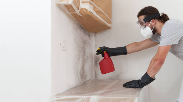 Professional Mold Removal technician working in Lawnside, NJ