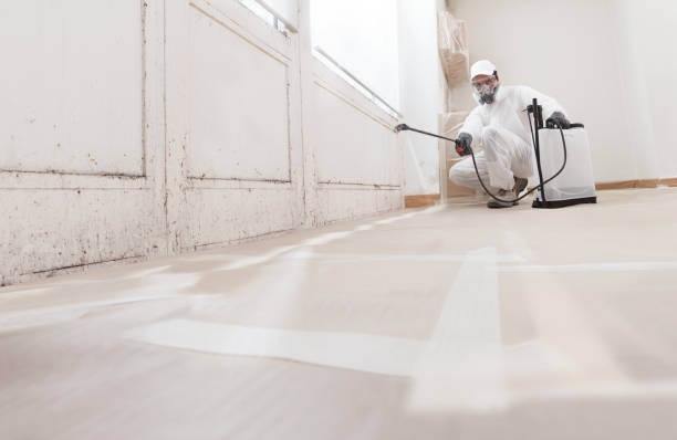 24/7 Emergency Mold Removal experts in Lawnside, NJ
